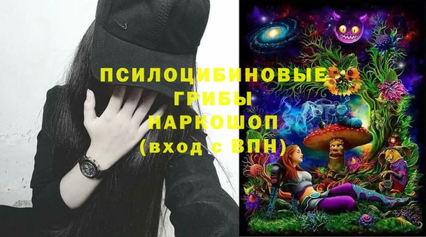 ешки Костерёво