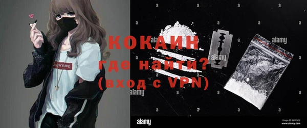 ПСИЛОЦИБИНОВЫЕ ГРИБЫ Коряжма