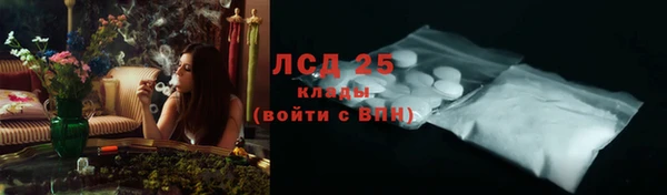 ПСИЛОЦИБИНОВЫЕ ГРИБЫ Коряжма