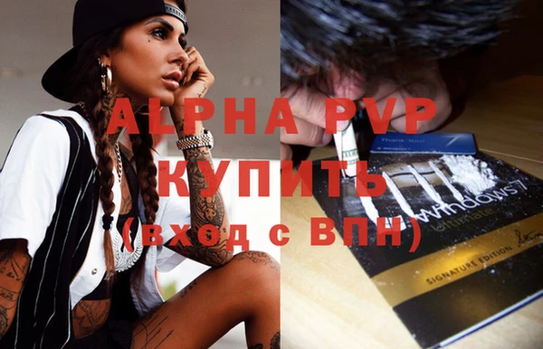 ПСИЛОЦИБИНОВЫЕ ГРИБЫ Коряжма