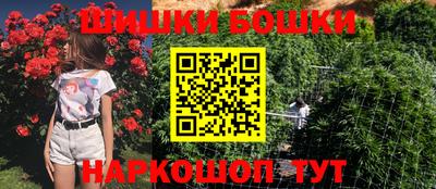 СК Волгодонск