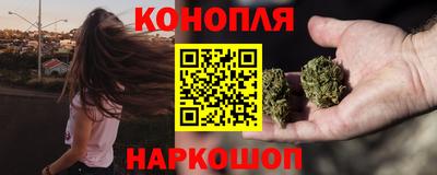 СК Волгодонск