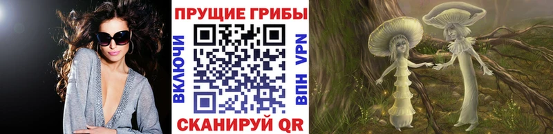 нарко площадка состав Котовск Галлюциногенные грибы MAGIC MUSHROOMS