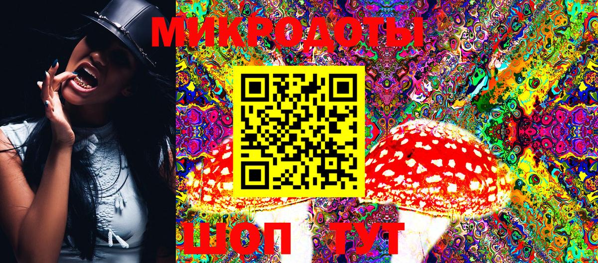 Псилоцибиновые грибы мухоморы Котовск